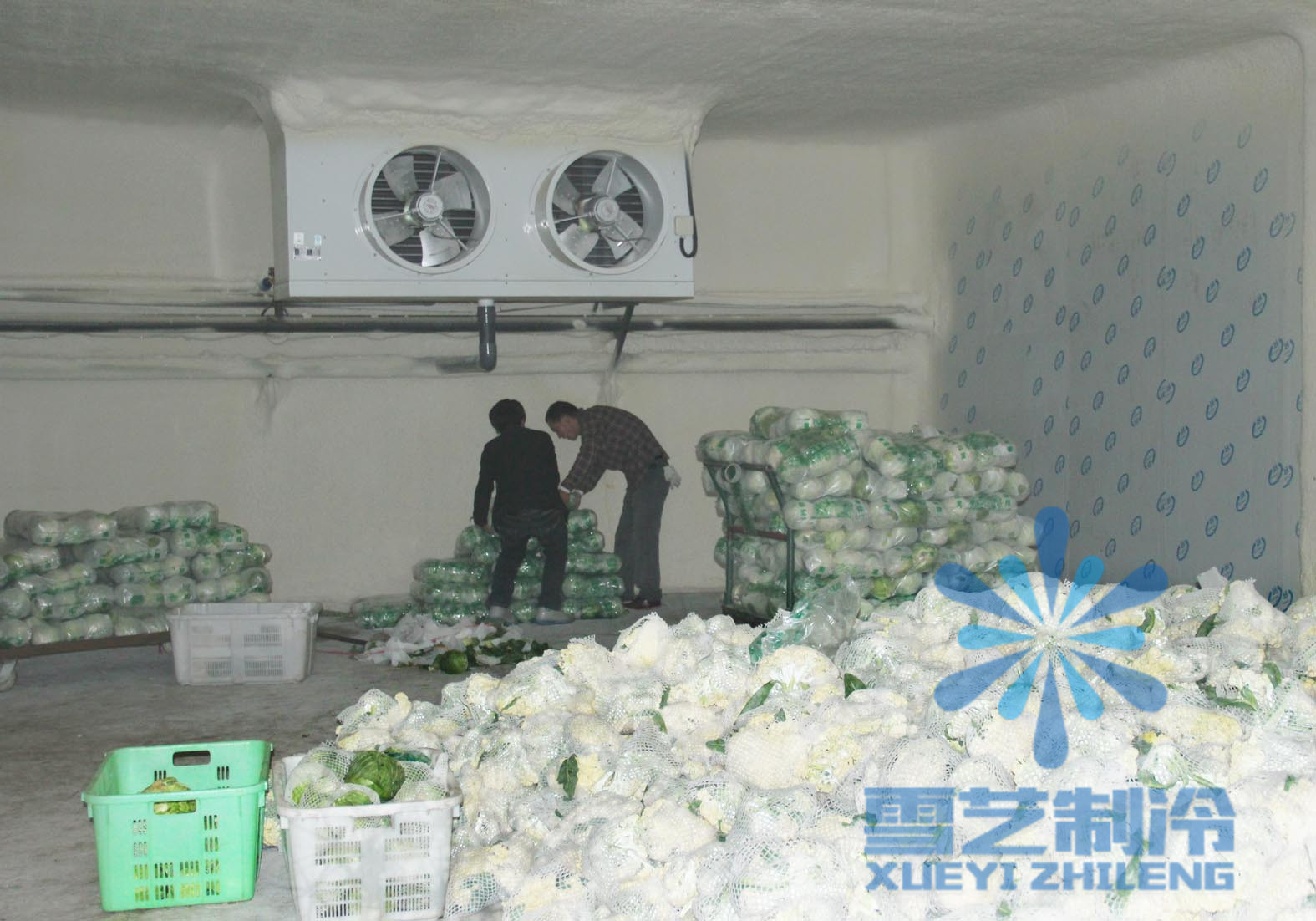 果蔬保鮮冷庫(kù)需要多少錢？有哪些因素影響造價(jià)？