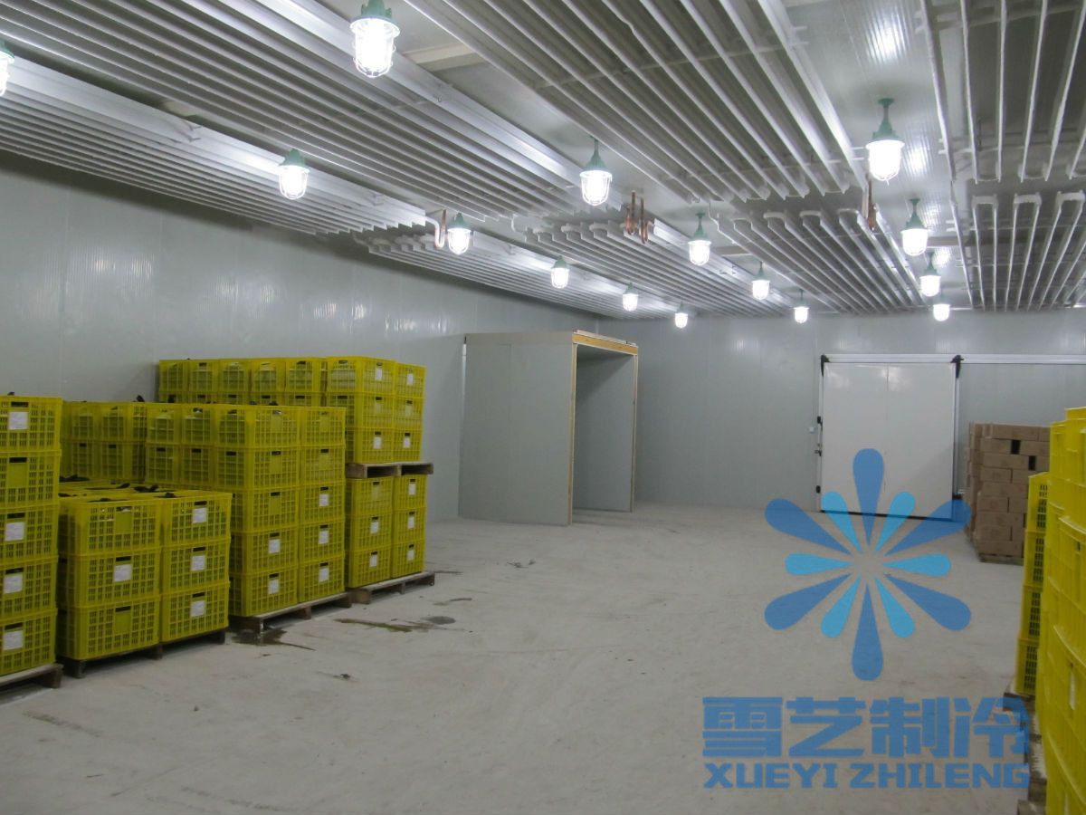 500平方冷庫安裝公司哪家好?冷庫設計安裝